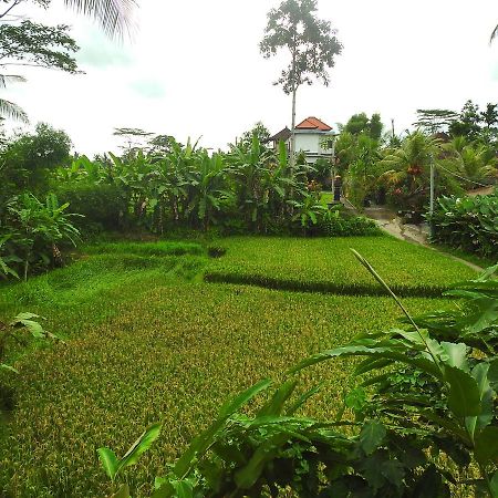Mandala Hostel Ubud Exterior foto