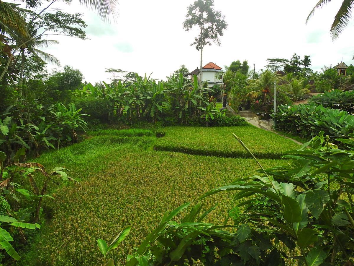 Mandala Hostel Ubud Exterior foto