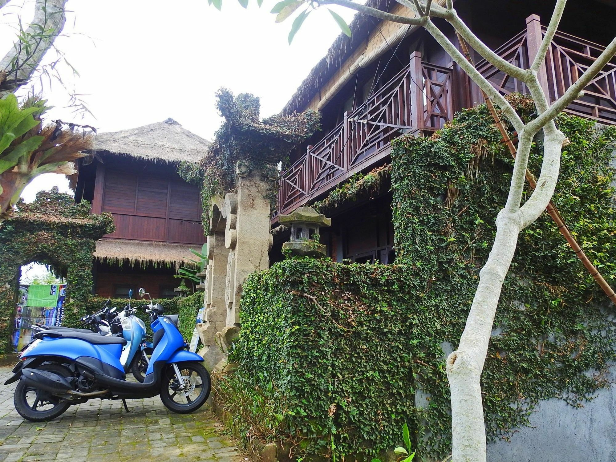 Mandala Hostel Ubud Exterior foto